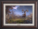 Open Edition Encore/Decorator CanvasFraming 2A