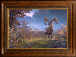 Limited Edition MasterCanvas Framing D