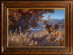 Framing D