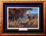 Limited Edition Classic Paper Framing 12A