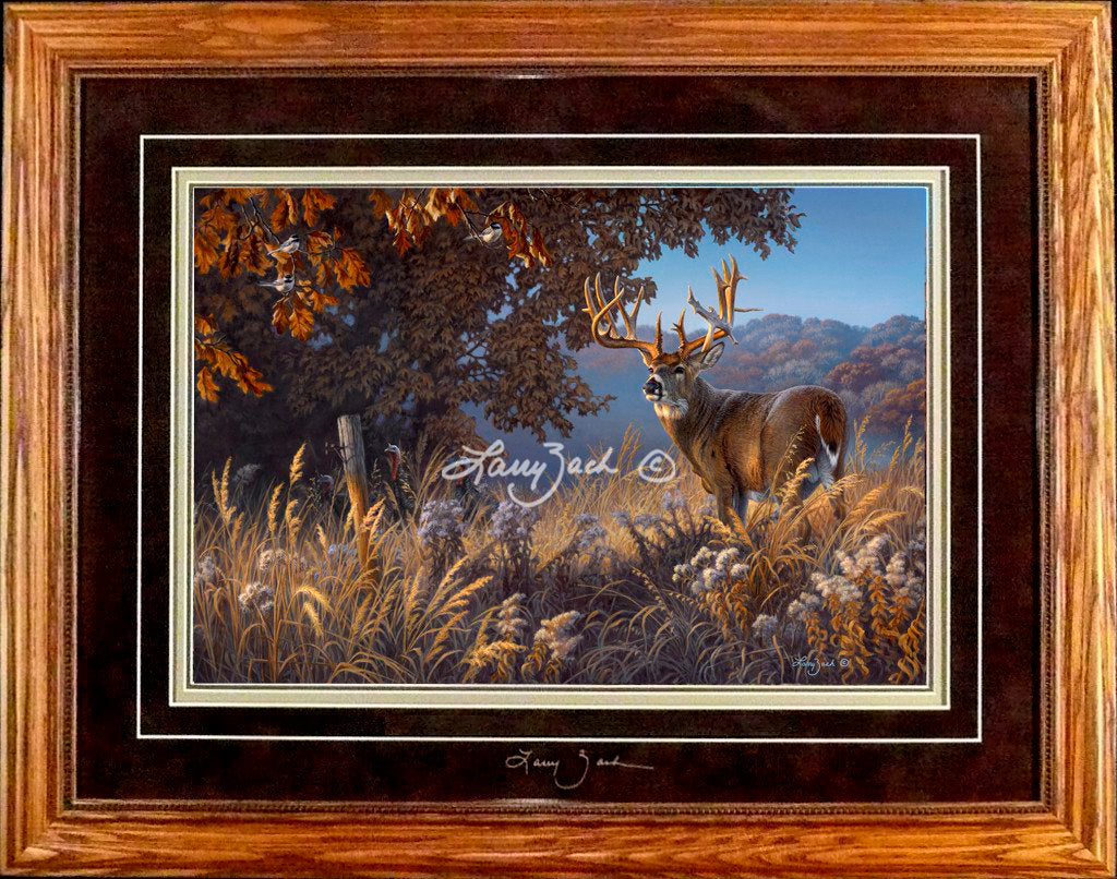Limited Edition Classic Paper Framing 11A