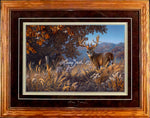 Limited Edition Classic Paper Framing 11A