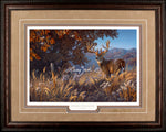 Limited Edition Classic Paper Framing 17A