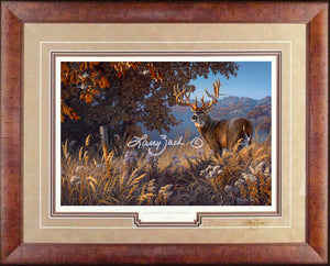 Limited Edition Classic Paper Framing 38A