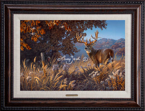 Open Edition Encore/Decorator Canvas Framing 2A