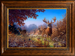 Limited Edition Master Canvas Framing D