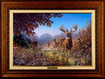 Limited Edition Classic Canvas Framing B