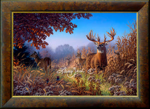 Limited Edition Classic Canvas Framing R