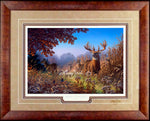 Limited Edition Classic Paper Framing 38A