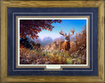 Limited Edition Classic Print Framing 12A