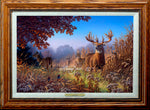 Open Edition Encore/Decorator Canvas Framing 1A