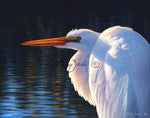 Egret at Rest by Larry Zach