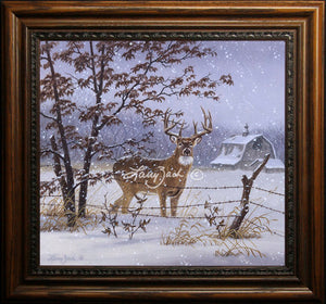 Limited Edition Master Canvas Framing C