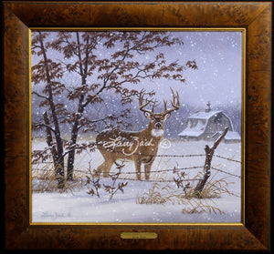 Limited Edition Master Canvas Framing R