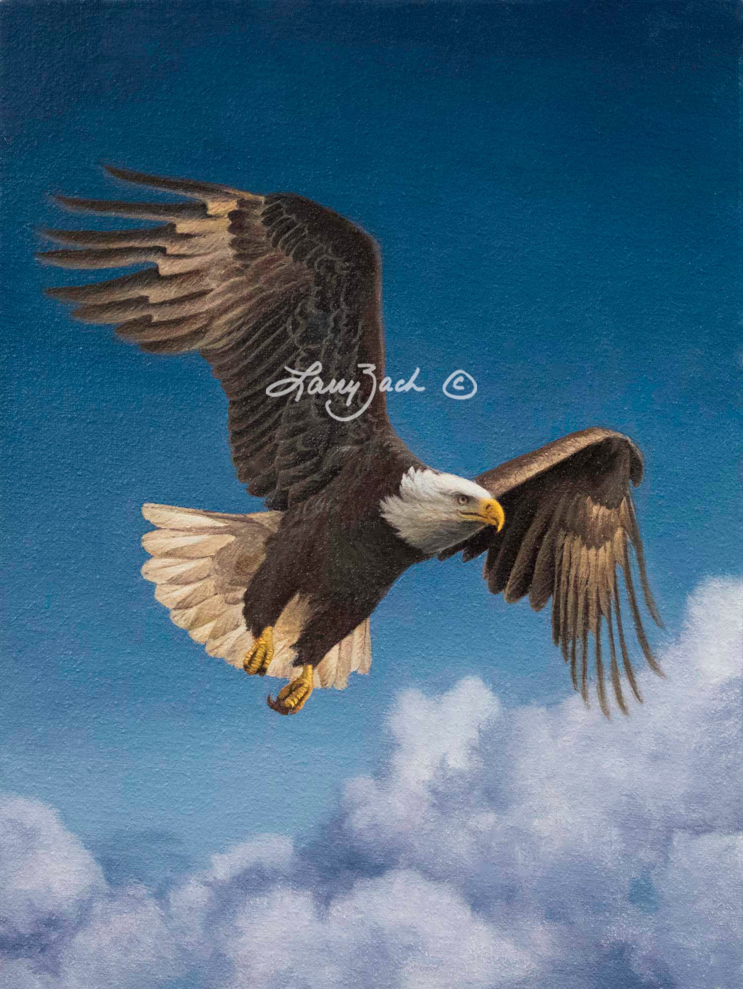 Flying High – Bald Eagle – Larry Zach Wildlife Art
