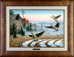 Limited Edition Master Canvas Framing X