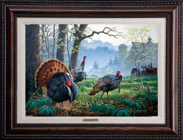 Foggy Morning Trio Wild Turkey Larry Zach Wildlife Art