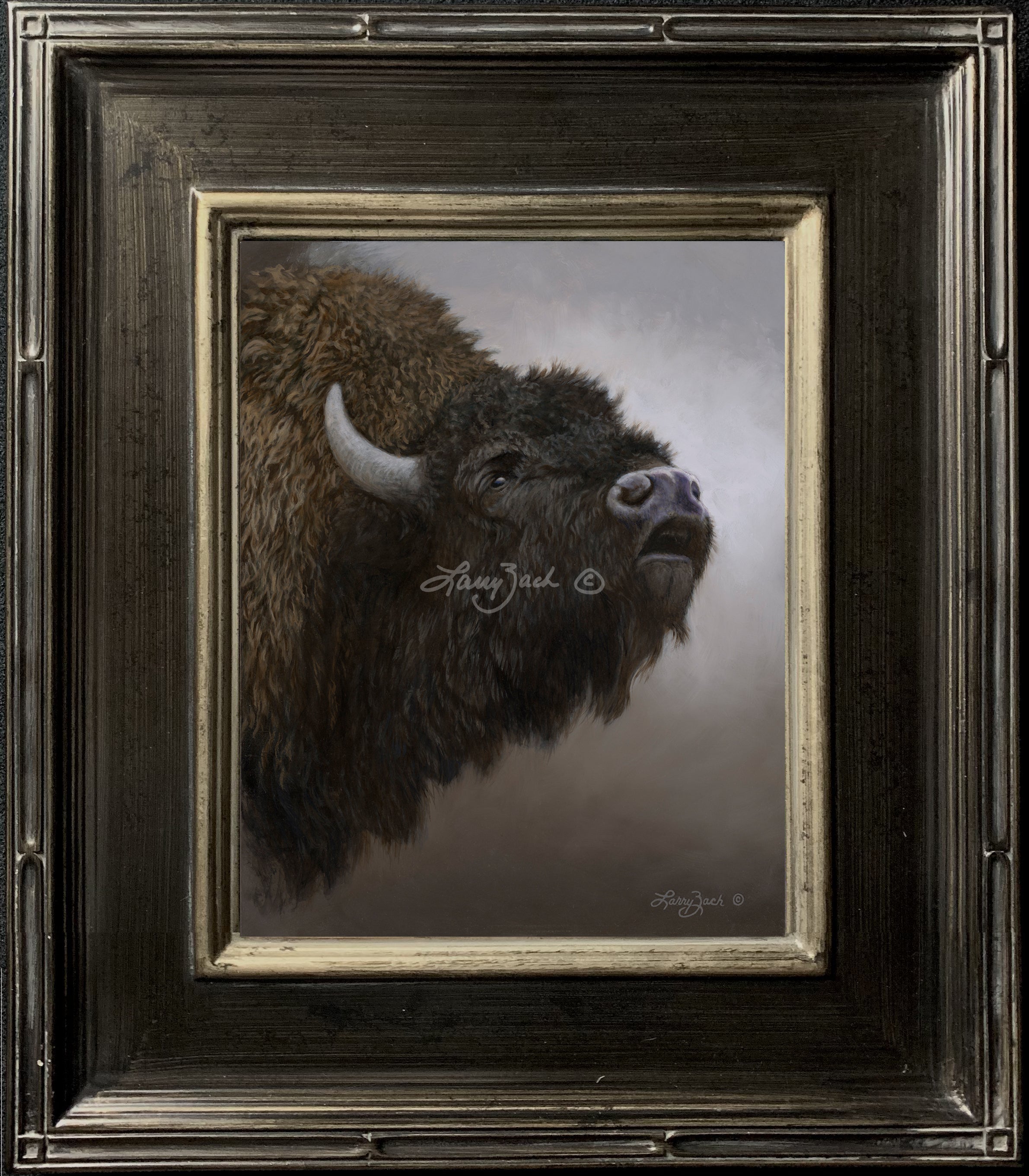 Portraits in Gray – American Bison – Larry Zach Wildlife Art