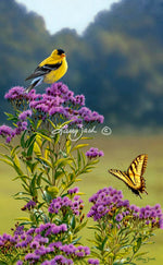 Goldfinch on Ironweed