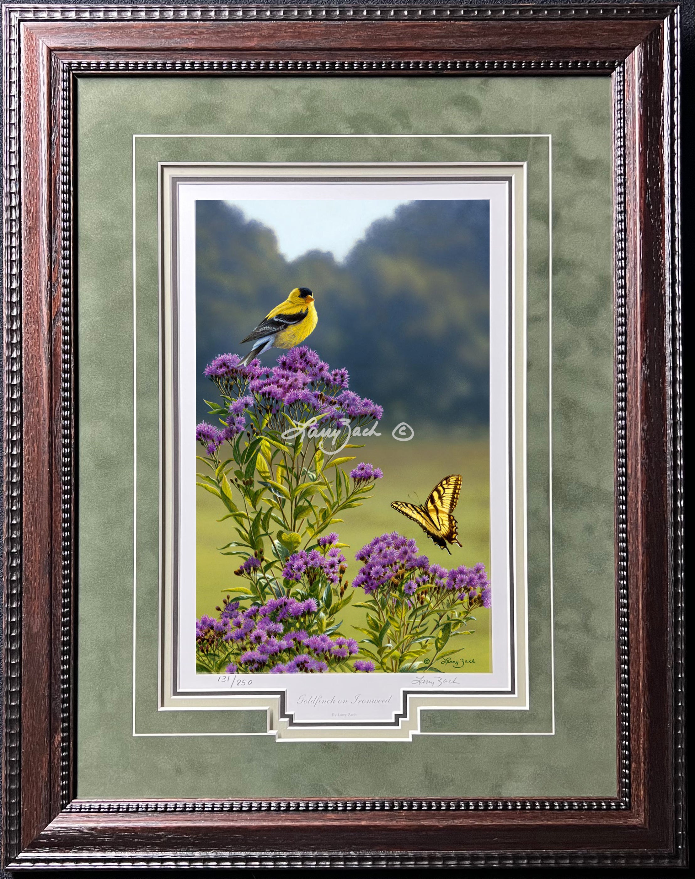 Limited Edition Classic Paper Framing 4D