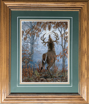 Open Edition Decorator/Encore Paper Framing Green Combo