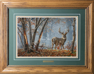 Open Edition Decorator Paper Framing Green Combo