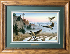 Open Edition Encore/Decorator Canvas Framing Green Combo