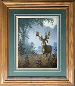 Open Edition Encore/Decorator Paper Framing Green Combo