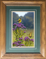 Open Edition Decorator Paper Framing Green Combo