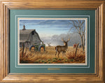 Open Edition Encore/Decorator Paper Framing Green Combo