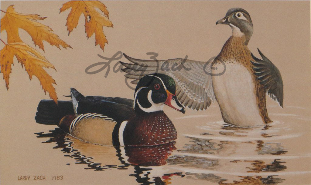 Larry Zach Iowa Duck Stamp 1984