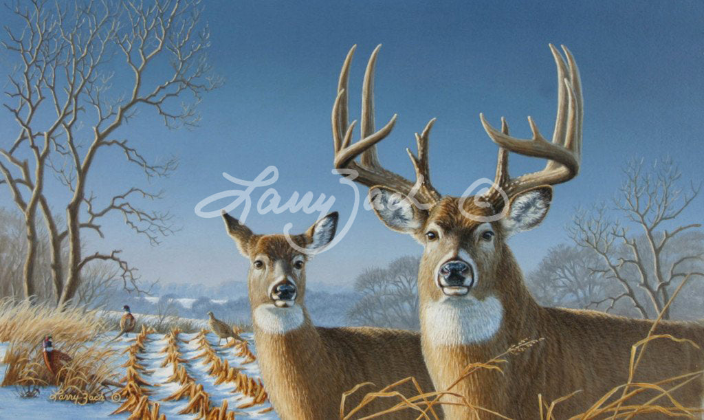 1997 Iowa HabitatStamp-Whitetail