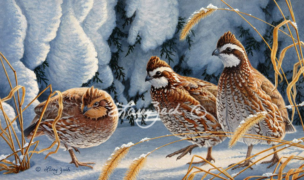1998 Iowa HabitatStamp-Quail