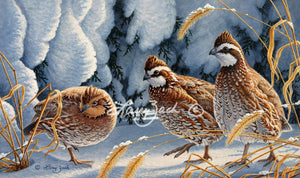 1998 Iowa HabitatStamp-Quail