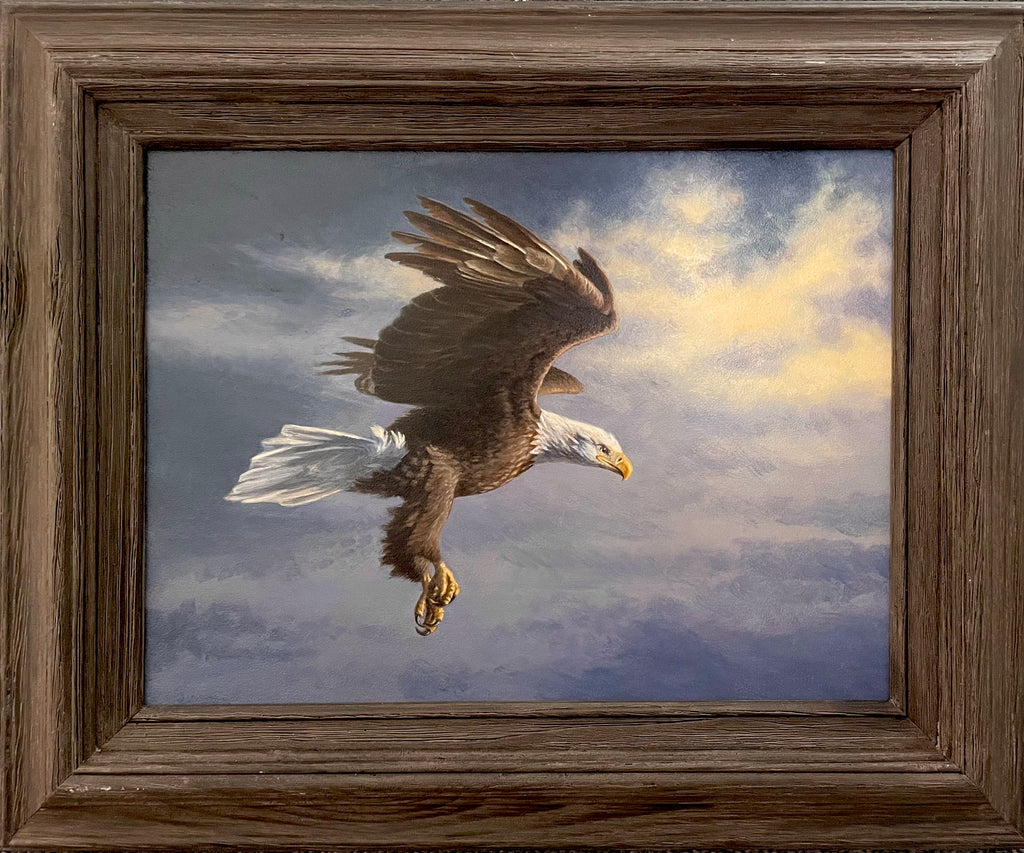 Locked In – American Bald Eagle (Original)