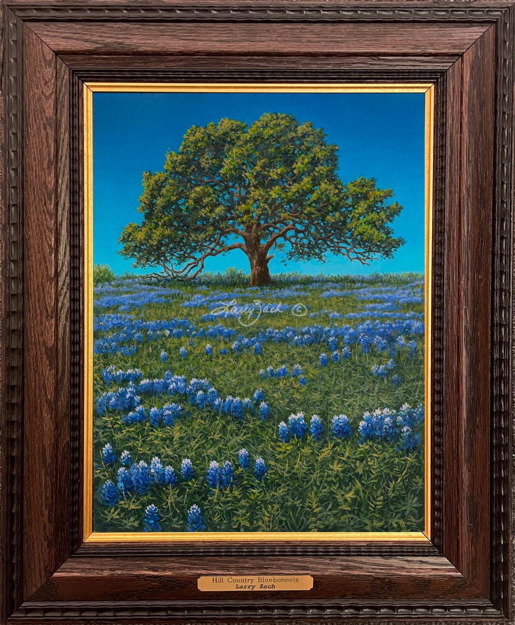 Hill Country Bluebonnet Original