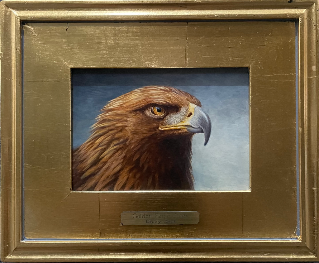 Golden Eagle Original Study