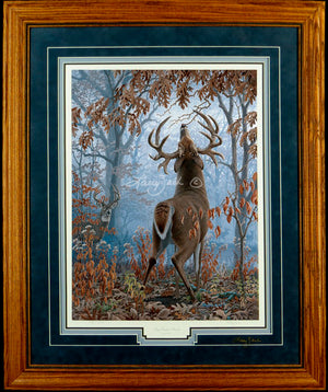 Limited Edition Classic Paper Framing 10A