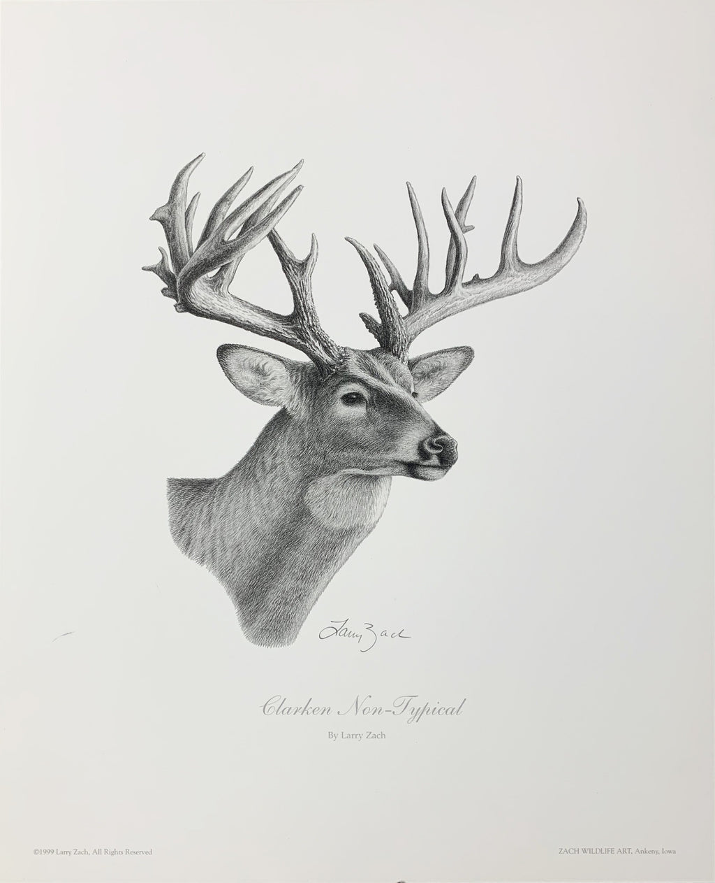 Clarken Non-Typical Pencil Drawing Unframed