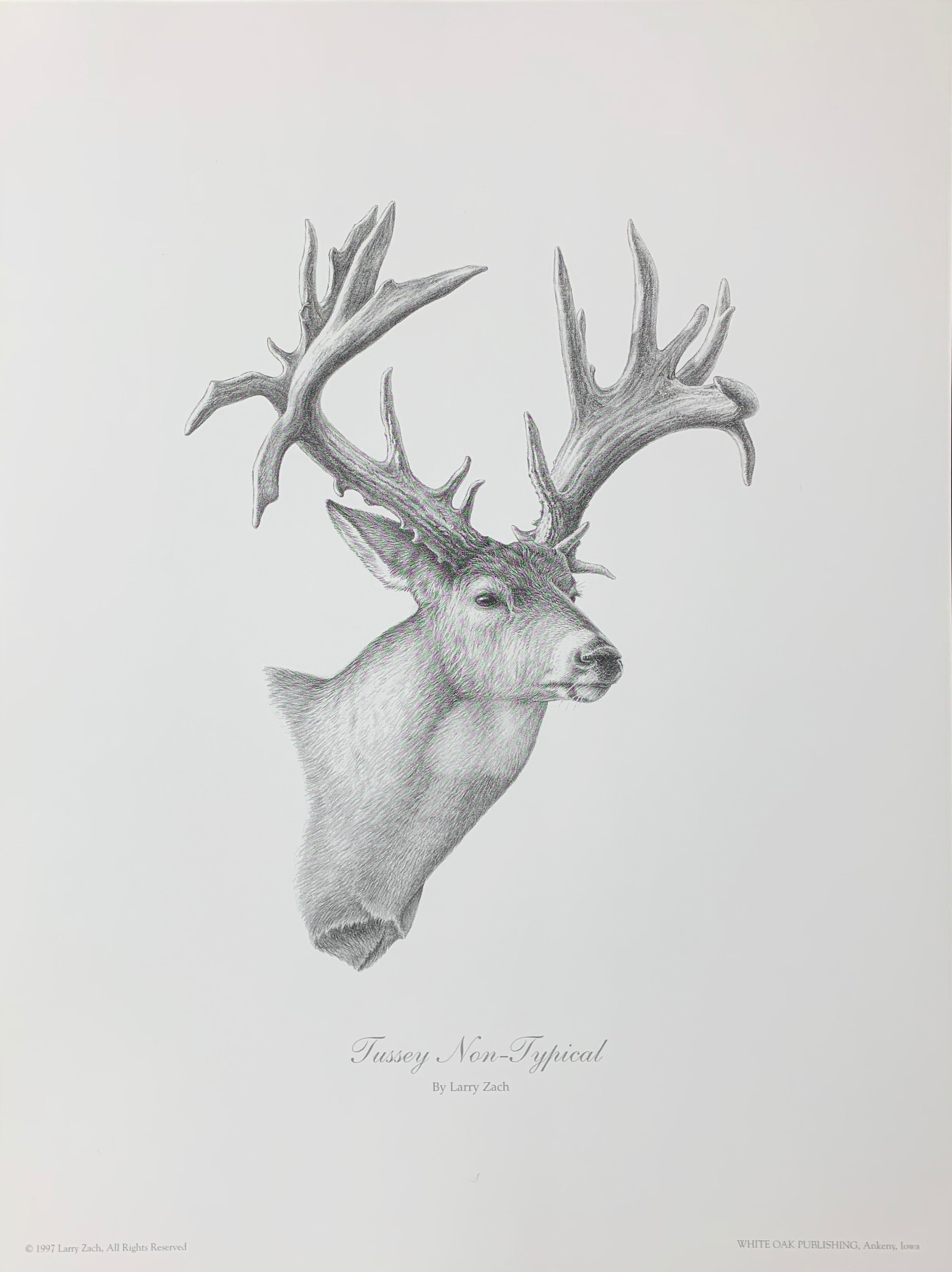 Tussey Non-Typical Unframed