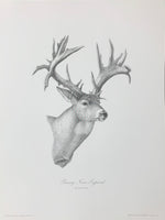 Tussey Non-Typical Unframed