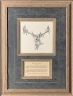 Mascoutin Non-Typical" Pencil Drawing Framing Gray Combo