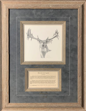 Mascoutin Non-Typical" Pencil Drawing Framing Gray Combo