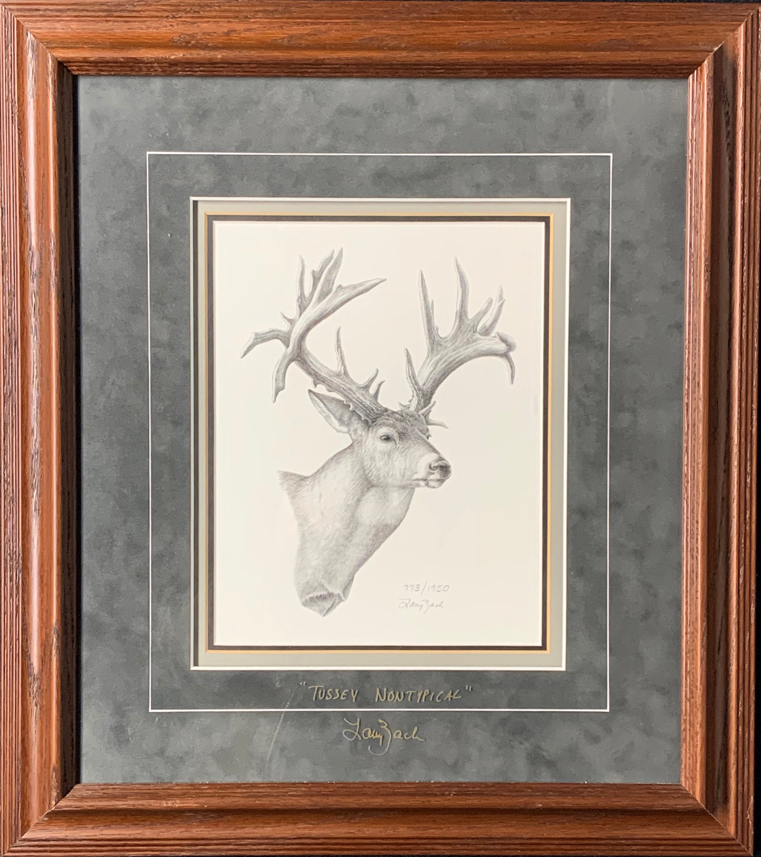 Tussey Non-Typical SN Framed