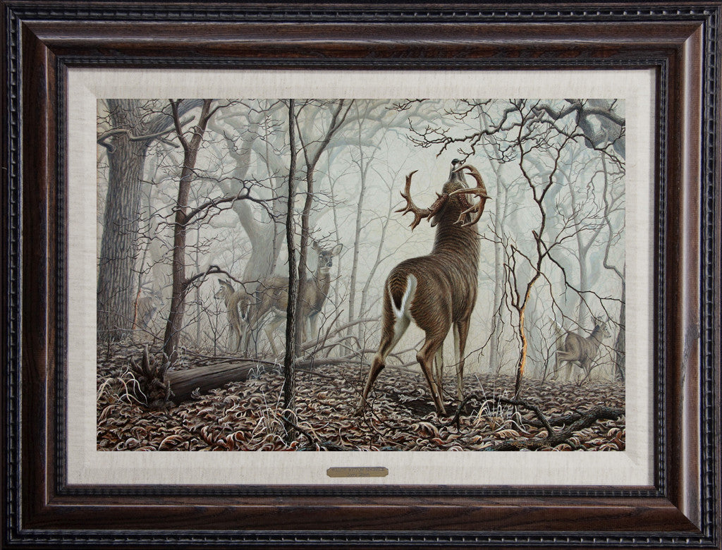 Open Edition
Encore/Decorator
Canvas
Framing 2A