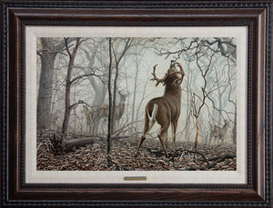 Open Edition
Encore/Decorator
Canvas
Framing 2A