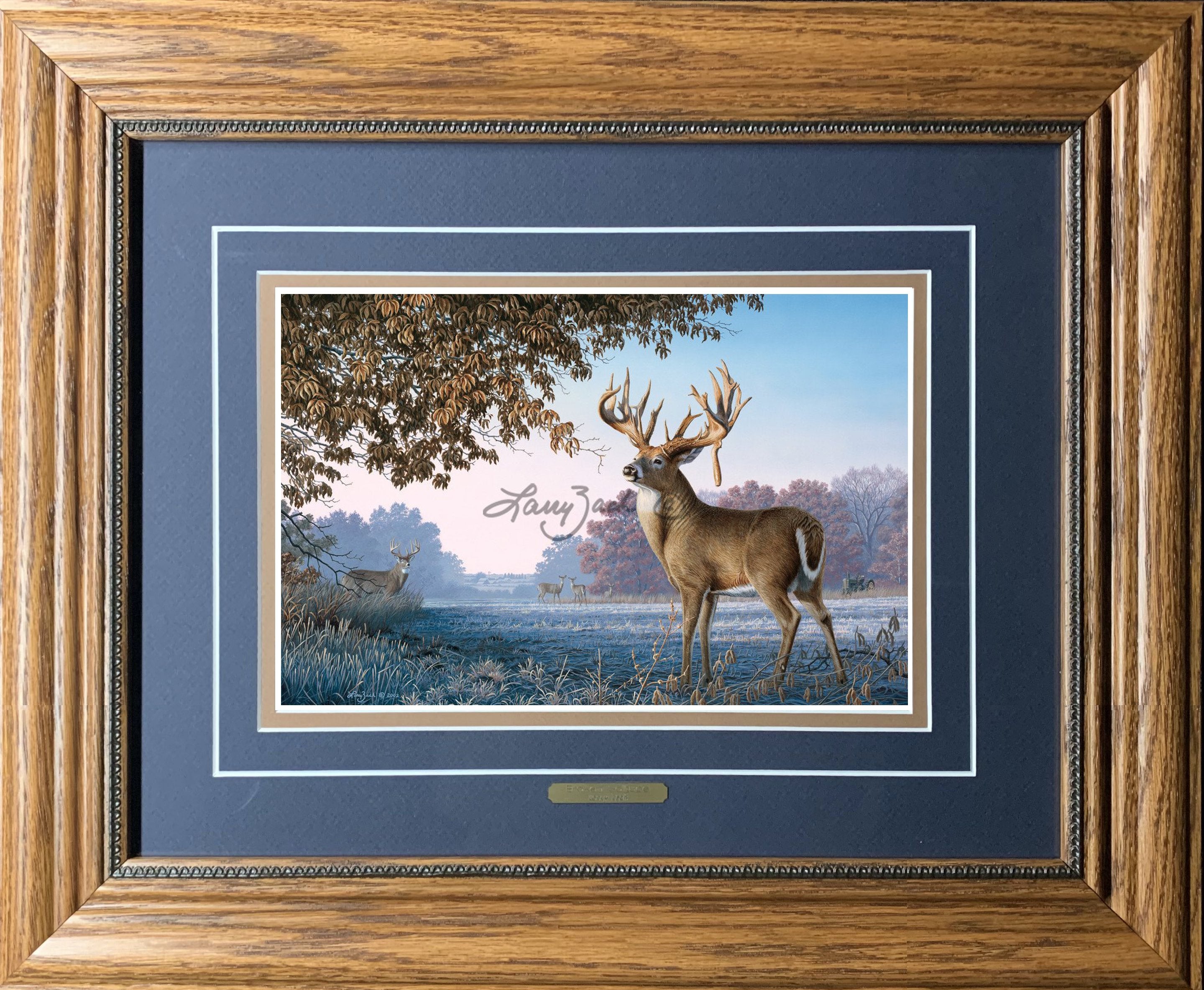 Open Edition Encore/Decorator Paper Framing Navy Combo