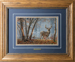 Open Edition Decorator Paper Framing Navy Combo