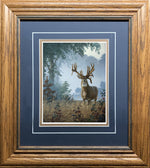 Open Edition Encore/Decorator Paper Framing Navy Combo