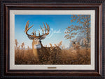 Open Edition Encore/Decorator Canvas Framing 2A